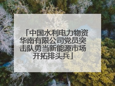 中国水利电力物资华南有限公司党员突击队勇当新能源市场开拓排头兵