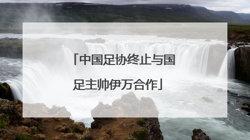 中国足协终止与国足主帅伊万合作