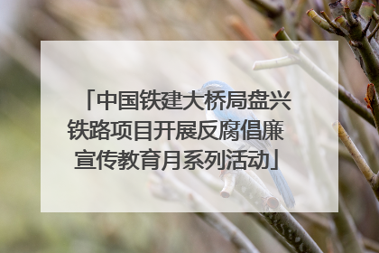 中国铁建大桥局盘兴铁路项目开展反腐倡廉宣传教育月系列活动