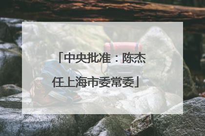 中央批准：陈杰任上海市委常委