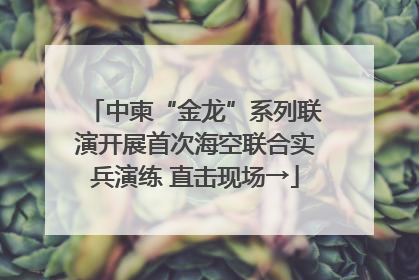 中柬“金龙”系列联演开展首次海空联合实兵演练 直击现场→