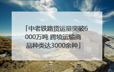 中老铁路货运量突破6000万吨 跨境运输商品种类达3000余种