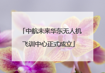 中航未来华东无人机飞训中心正式成立