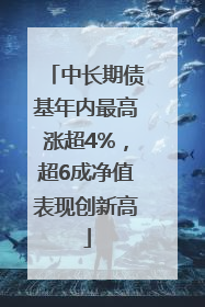 中长期债基年内最高涨超4%，超6成净值表现创新高