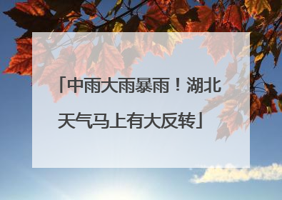 中雨大雨暴雨！湖北天气马上有大反转