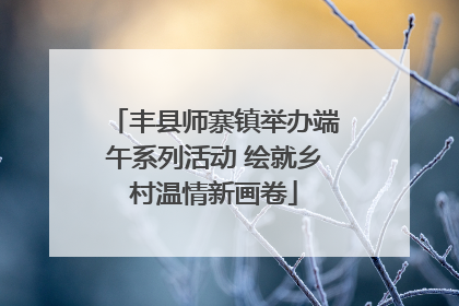 丰县师寨镇举办端午系列活动 绘就乡村温情新画卷