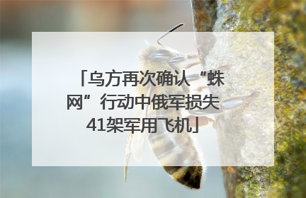 乌方再次确认“蛛网”行动中俄军损失41架军用飞机