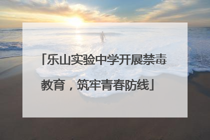 乐山实验中学开展禁毒教育，筑牢青春防线