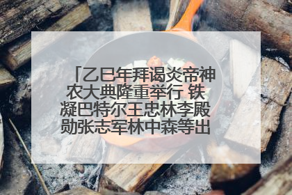 乙巳年拜谒炎帝神农大典隆重举行 铁凝巴特尔王忠林李殿勋张志军林中森等出席 孙伟主持