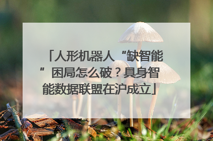人形机器人“缺智能”困局怎么破？具身智能数据联盟在沪成立
