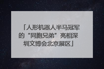 人形机器人半马冠军的“同胞兄弟”亮相深圳文博会北京展区