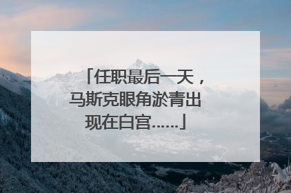 任职最后一天，马斯克眼角淤青出现在白宫……