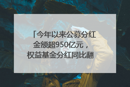今年以来公募分红金额超950亿元，权益基金分红同比翻倍｜招财猫