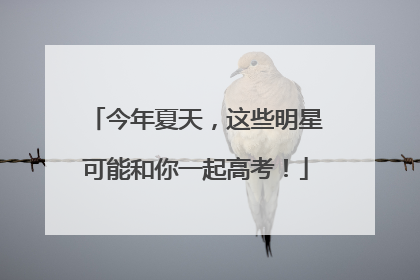 今年夏天，这些明星可能和你一起高考！