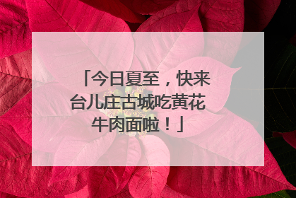 今日夏至，快来台儿庄古城吃黄花牛肉面啦！