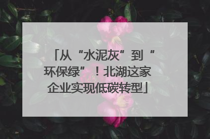 从“水泥灰”到“环保绿”！北湖这家企业实现低碳转型
