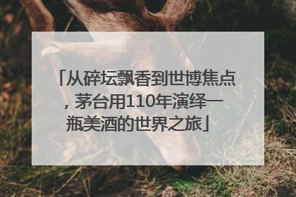 从碎坛飘香到世博焦点，茅台用110年演绎一瓶美酒的世界之旅