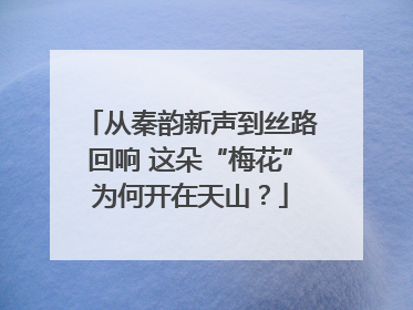 从秦韵新声到丝路回响 这朵“梅花”为何开在天山？