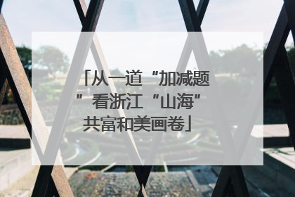 从一道“加减题”看浙江“山海”共富和美画卷