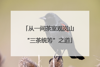 从一间茶室观岚山“三茶统筹”之道