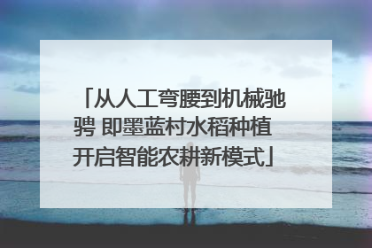 从人工弯腰到机械驰骋 即墨蓝村水稻种植开启智能农耕新模式