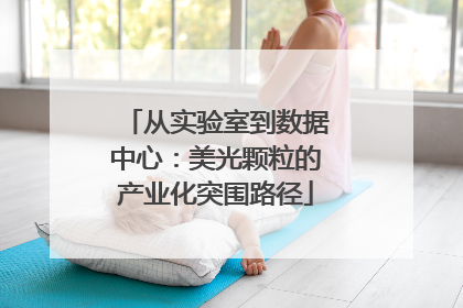 从实验室到数据中心：美光颗粒的产业化突围路径