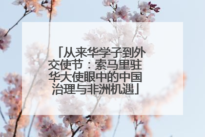 从来华学子到外交使节：索马里驻华大使眼中的中国治理与非洲机遇