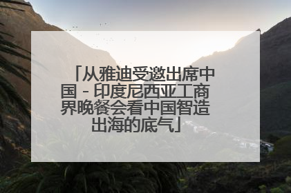 从雅迪受邀出席中国－印度尼西亚工商界晚餐会看中国智造出海的底气