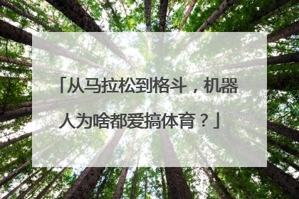 从马拉松到格斗，机器人为啥都爱搞体育？