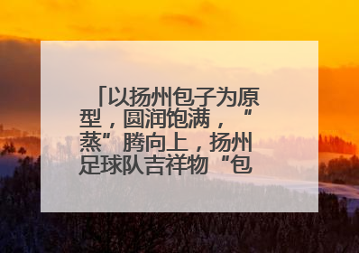 以扬州包子为原型，圆润饱满，“蒸”腾向上，扬州足球队吉祥物“包赢”亮相即售罄