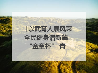 以武育人展风采 全民健身谱新篇 “金童杯” 青少年散打搏击邀请赛圆满落幕