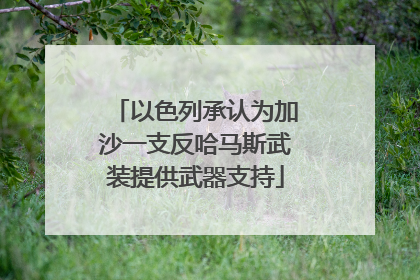 以色列承认为加沙一支反哈马斯武装提供武器支持