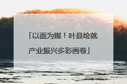 以面为媒！叶县绘就产业振兴多彩画卷
