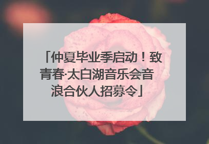 仲夏毕业季启动！致青春·太白湖音乐会音浪合伙人招募令