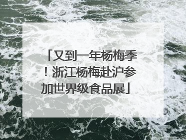 又到一年杨梅季！浙江杨梅赴沪参加世界级食品展