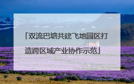 双流巴塘共建飞地园区打造跨区域产业协作示范