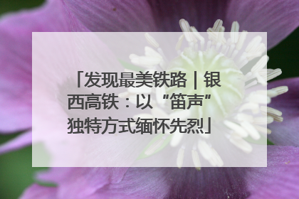 发现最美铁路｜银西高铁：以“笛声”独特方式缅怀先烈