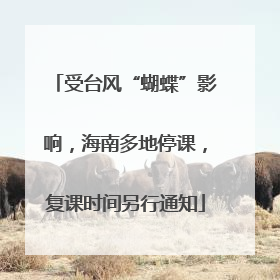 受台风“蝴蝶”影响，海南多地停课，复课时间另行通知