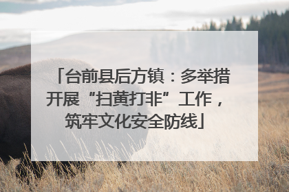台前县后方镇：多举措开展“扫黄打非”工作，筑牢文化安全防线