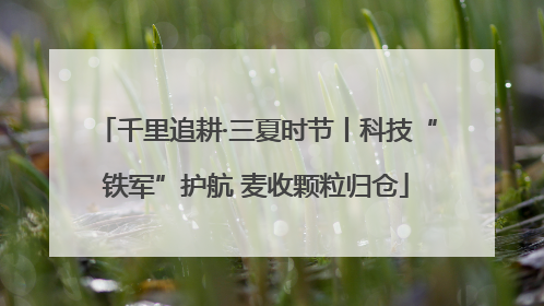 千里追耕·三夏时节丨科技“铁军”护航 麦收颗粒归仓