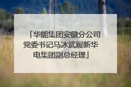 华能集团安徽分公司党委书记马冰武履新华电集团副总经理