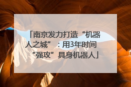 南京发力打造“机器人之城”：用3年时间“强攻”具身机器人