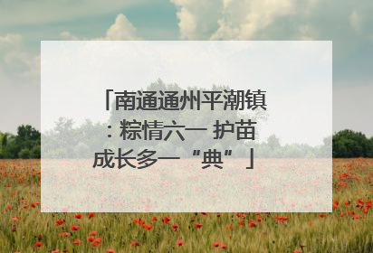 南通通州平潮镇：粽情六一 护苗成长多一“典”