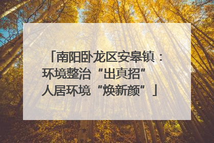 南阳卧龙区安皋镇：环境整治“出真招” 人居环境“焕新颜”