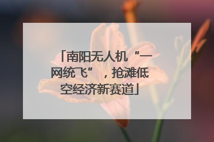 南阳无人机“一网统飞”，抢滩低空经济新赛道