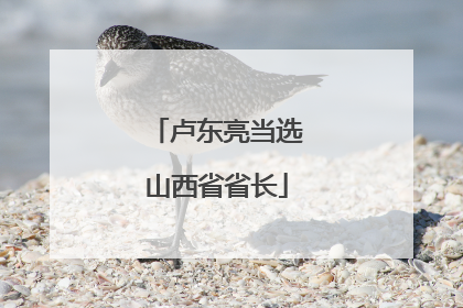 卢东亮当选山西省省长