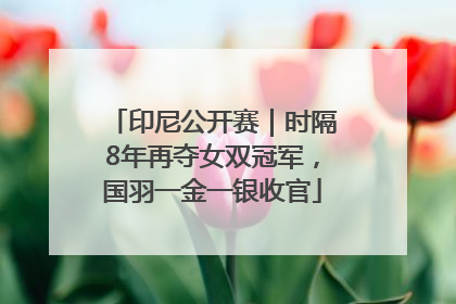 印尼公开赛｜时隔8年再夺女双冠军，国羽一金一银收官