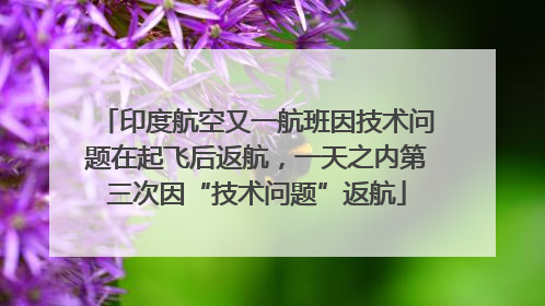 印度航空又一航班因技术问题在起飞后返航，一天之内第三次因“技术问题”返航