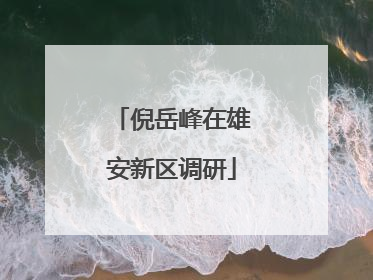 倪岳峰在雄安新区调研