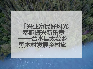 兴业富民好风光 奏响振兴新乐章——合水县太莪乡黑木村发展乡村旅游纪实